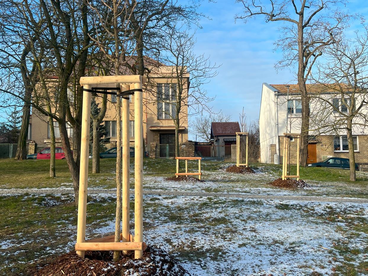 Obnova/vegetační úpravy městského parku Holárkovy sady v Lounech