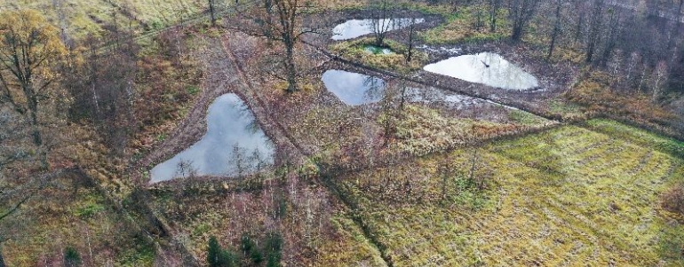 Tůně u Nových Zámků